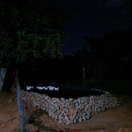 5 Sleeper Bushcamp Chalet Hartbeespoort Esterno foto